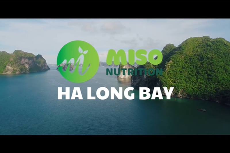 Sự kiện teambuilding “Vượt Sóng Ra Khơi” của Miso Nutrition: Chuyến du lịch hè đầy cảm hứng tại Hạ Long 2024